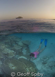 snorkelling in the evening with the liveaboard Oceandance... by Geoff Spiby 